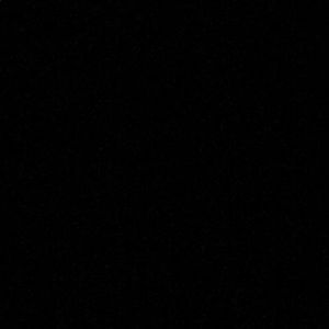 Meet your Posher, Carolina